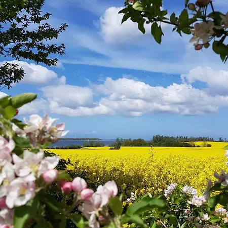 Hébergement de vacances Ferienhaus Gartenidyll Altenkirchen (Mecklenburg-Vorpommern)